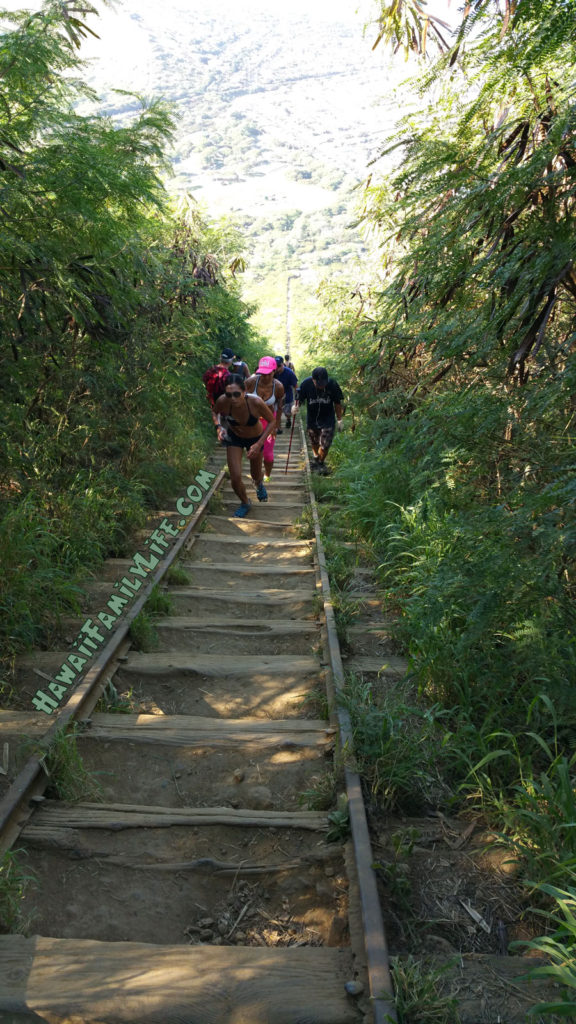 Koko Head hike trail