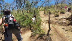 Dry slipper areas of Lanikai Pills