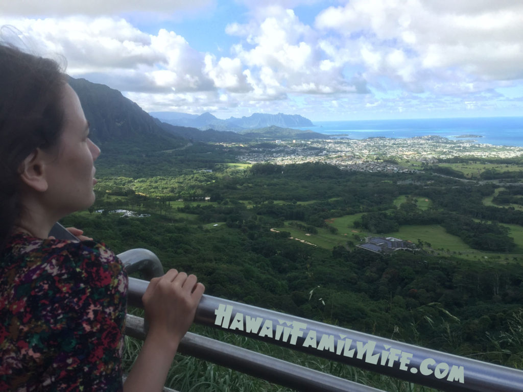 Looking out from Pali Lookout