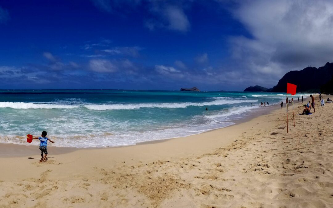 Are There Dangerous Animals in Hawaii? The Good, The Bad, The Ones With a Great Personality