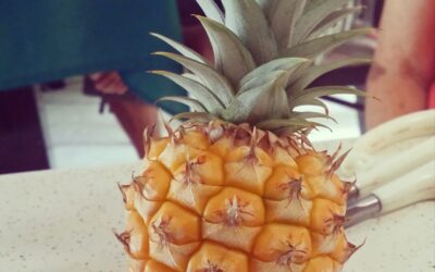 Hawaii’s Favorite 15 Fruits