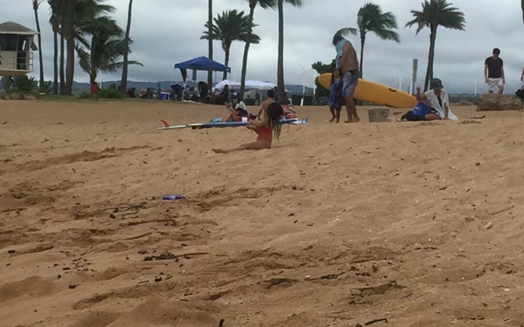Dog Friendly Beaches on Oahu with a Location Map