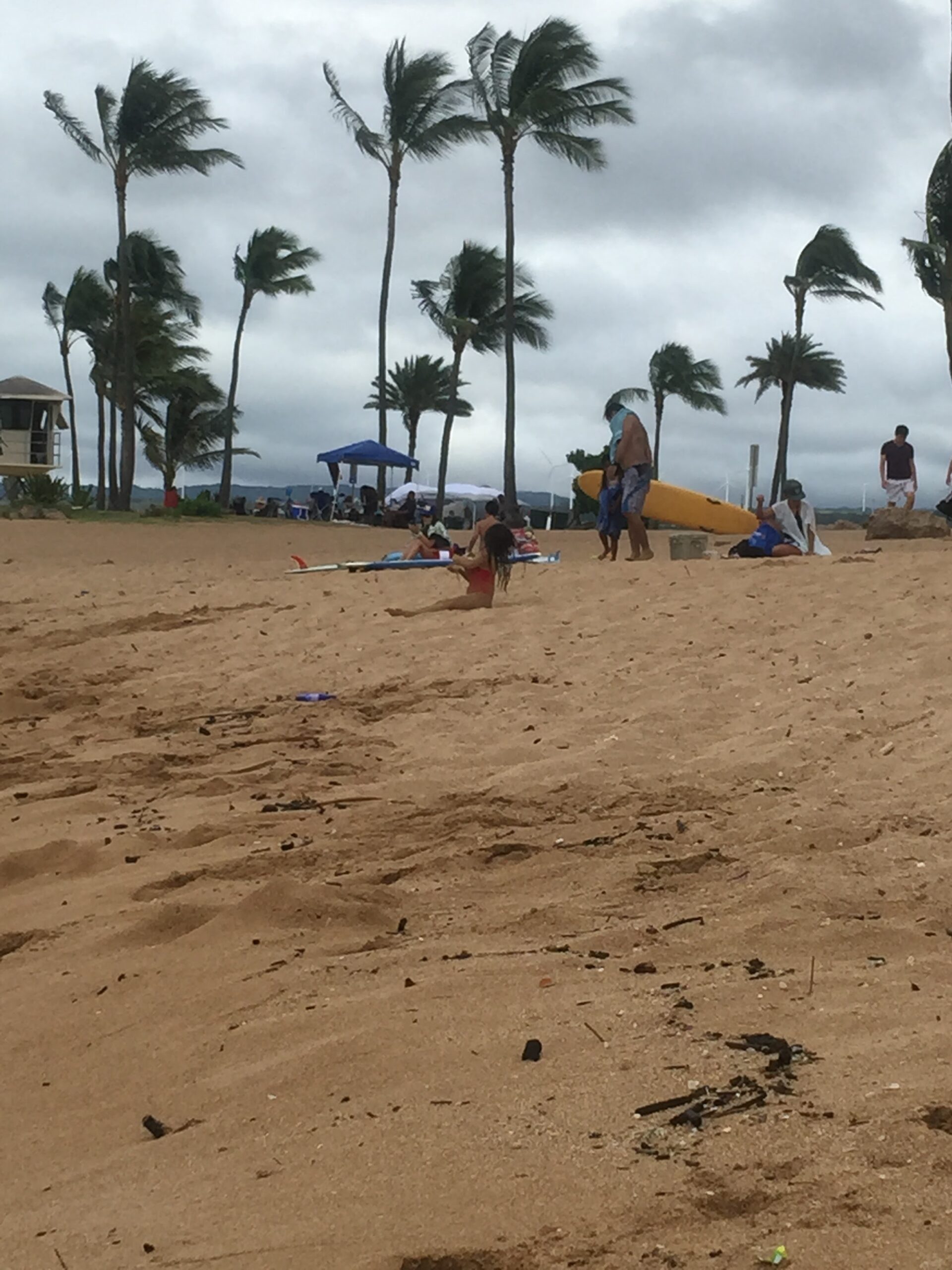 Haleiwa Ali Beach with a high-tide line of debris